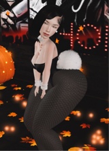 Guest_vuanii