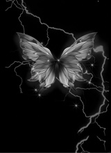 Guest_Abi481914