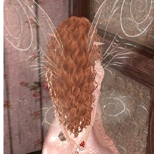 Guest_Luciana843604
