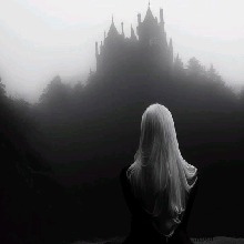 Guest_vkzzk