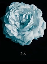 Guest_smilingrosybrown90b5