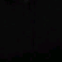 Guest_ins335908