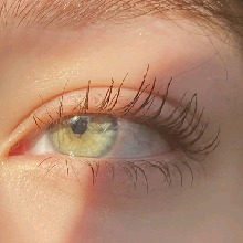 صورة الـavatar
