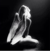 Guest_mocela