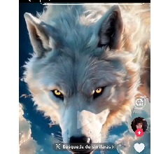 Lobitasexyalfa