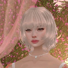Guest_orca0601