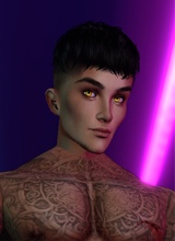 Guest_Adrian380678