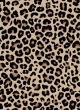 Guest_Lainey