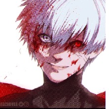 Guest_Don133488