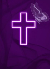 Guest_sevenly1