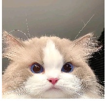 Guest_lixtaaa