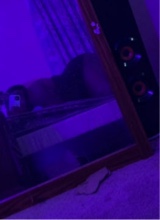 Guest_babygurl47