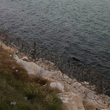 Dyaa85