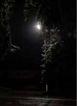 Guest_dejalee9