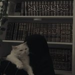 Guest_OKWCZHF