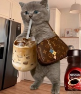 CocoBae