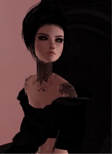 Guest_WittleQt