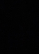 Guest_KalebForsyth