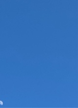Guest_Wind4589