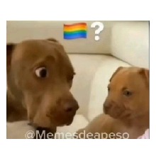 Guest_Kendric5
