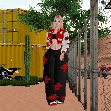 Guest_Zae969639