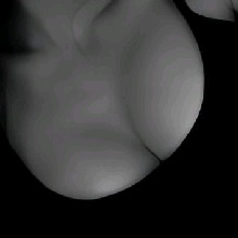 Guest_taupetaupegray47d1