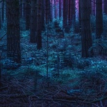 Guest_codyelias