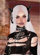 Guest_Diablita203
