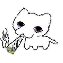 Guest_Nahae3