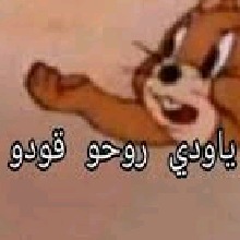 Guest_Reena33