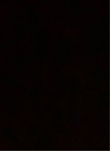 Guest_daniel124145