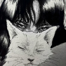 immagine avatar