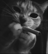 صورة الـavatar