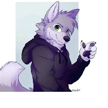 Guest_Fox431728