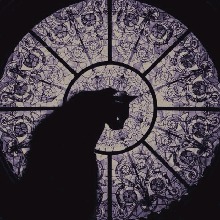 Guest_CarlieSunny