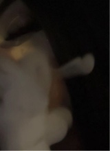 Guest_H3NNI
