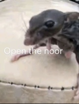 Guest_PheromoneDefuser