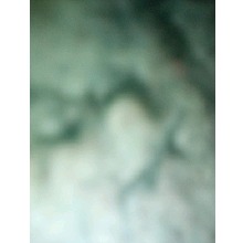 Guest_kaylee41877