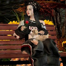 Guest_LadyAngel