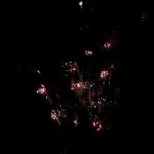 Guest_Sam463916