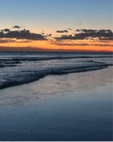 Guest_mani326890