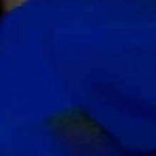Guest_FranciscaRg2