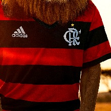 Guest_Romarinho2