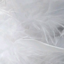صورة الـavatar