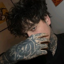 Guest_LillyBee2