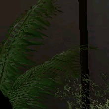 Guest_alyawildwatermel5706
