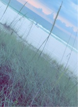 Guest_Nyla782829