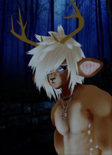 Guest_Mrnakaisanchui
