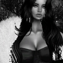 Guest_Ls8333
