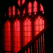 Guest_rosevaleiris1bf5